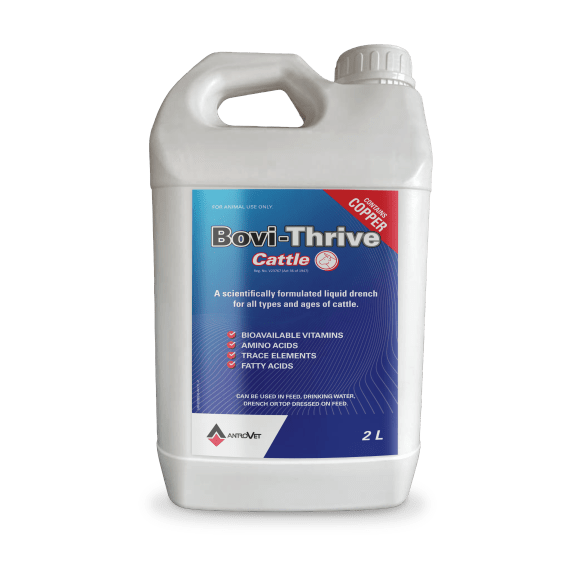 Bovi-Thrive Cattle - - Bovivet Inc - Livestock Health
