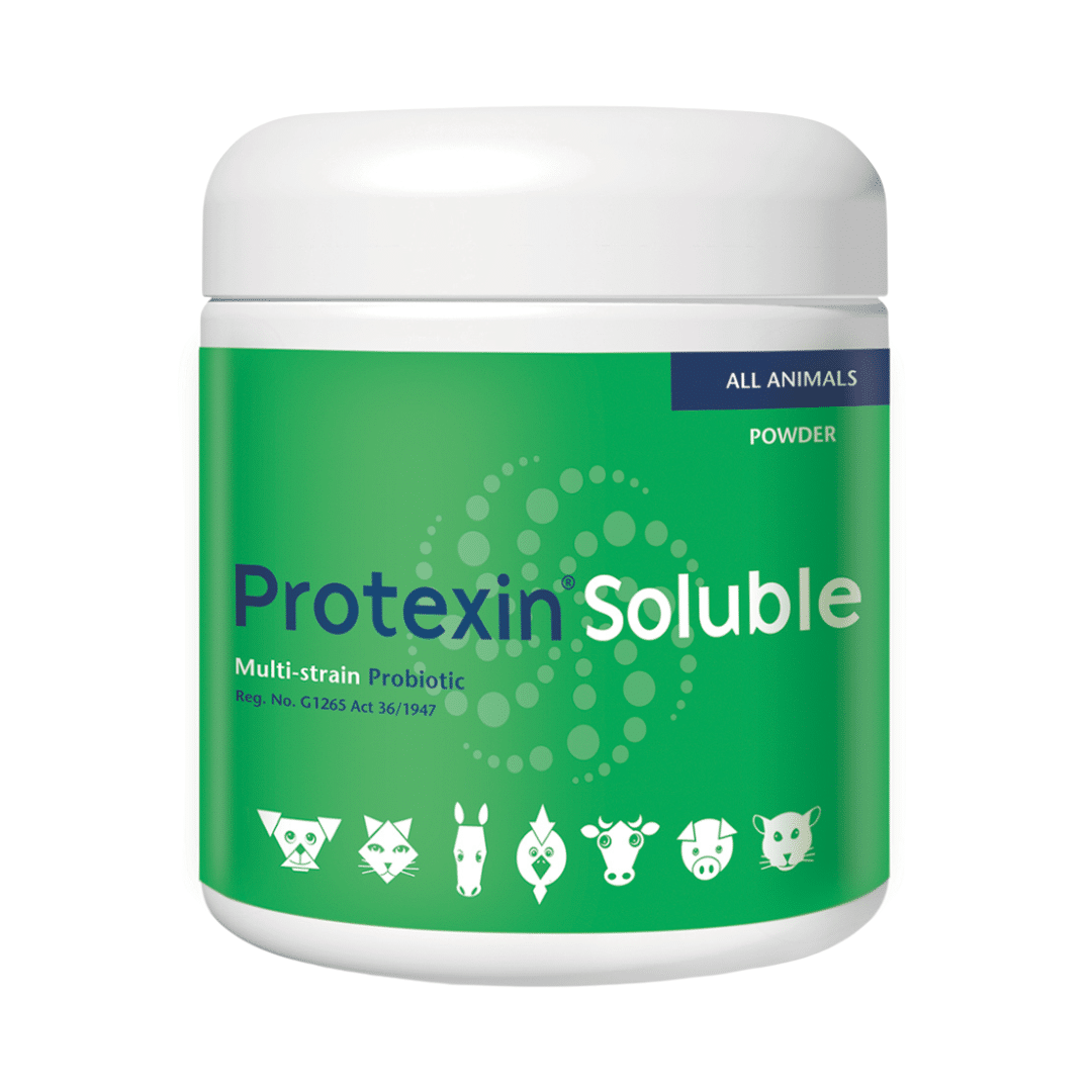 Protexin Soluble 250g - Bovivet Inc - Livestock Health