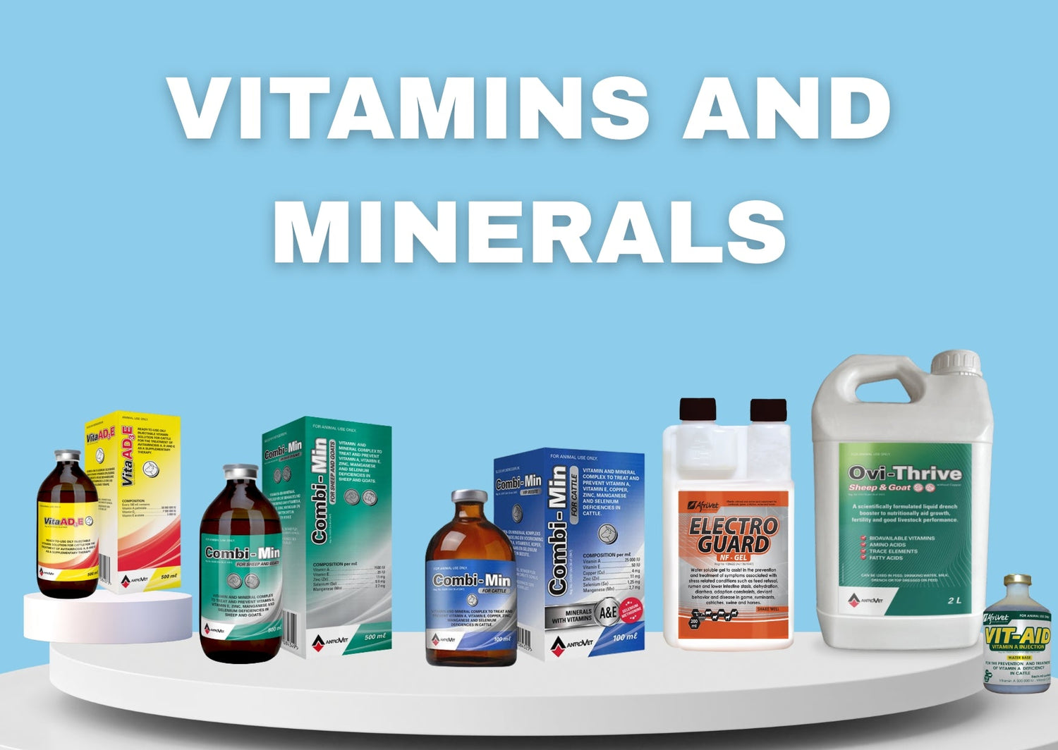 Livestock Vitamins & Minerals – Boost Herd Health | Bovivet South Africa - Bovivet Inc - Livestock Health