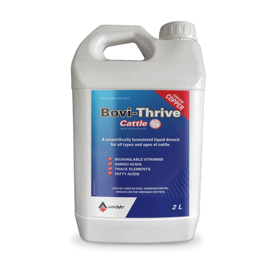 Bovi-Thrive Cattle - - Bovivet Inc - Livestock Health