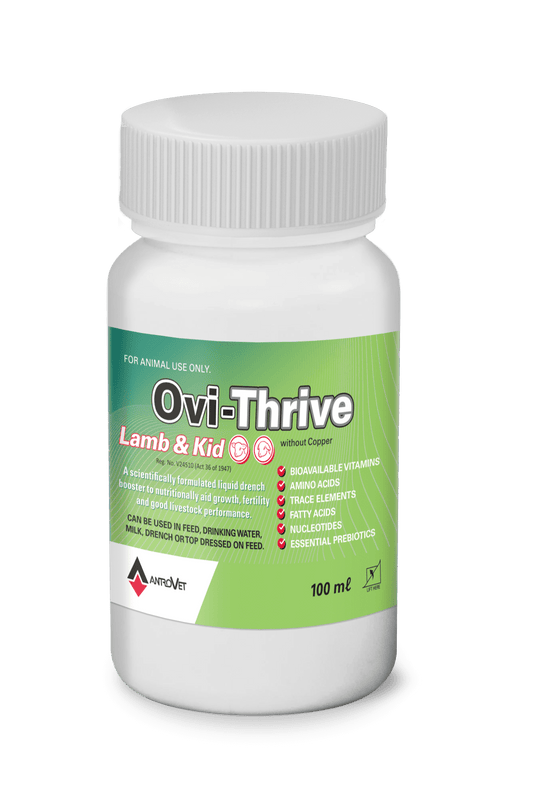 Ovi Thrive Lamb & Kid - Bovivet Inc - Livestock Health