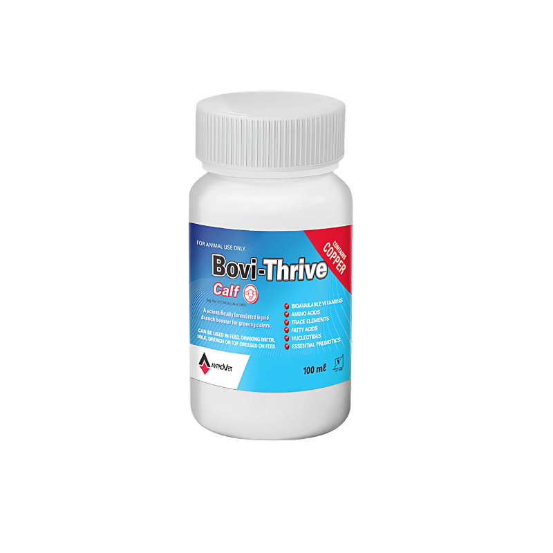 Bovi Thrive Calf - Bovivet Inc - Livestock Health