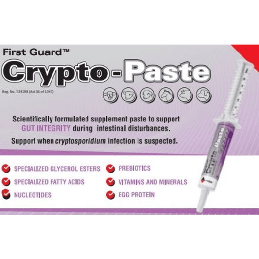 Crypto-Paste 30g - Bovivet Inc - Livestock Health