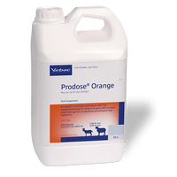 Prodose Orange 5L - Bovivet Inc - Livestock Health