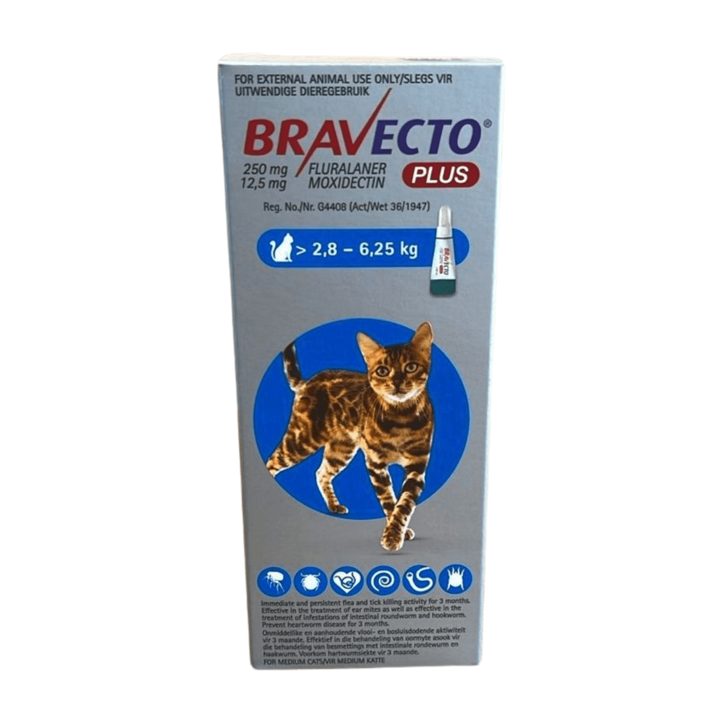 Bravecto Plus for Medium Cats 2.8–6.25kg - Bovivet Inc - Livestock Health