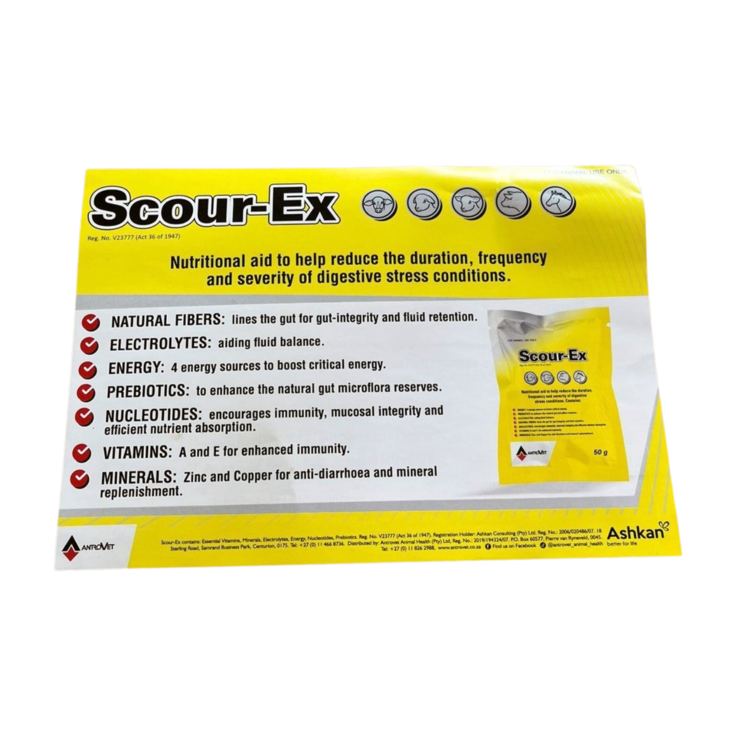 SCOUR-EX 50G ANTROVET