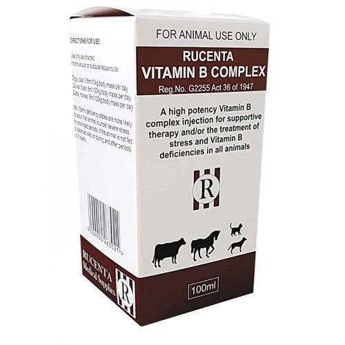 Vitamin B complex 100ml - Bovivet Inc - Livestock Health