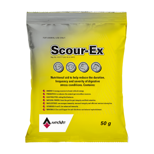 SCOUR-EX 50G ANTROVET